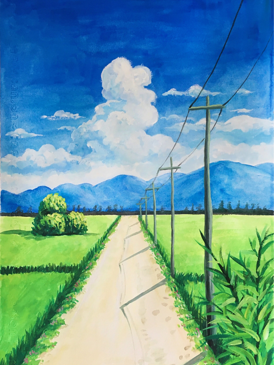 水粉画《乡村小路》 水粉画《乡村小路》