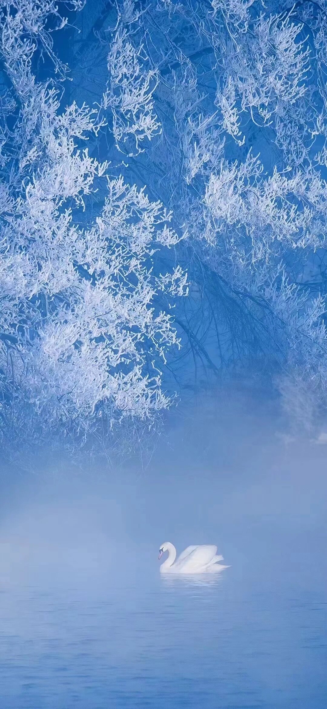 微信背景图片雪景图片