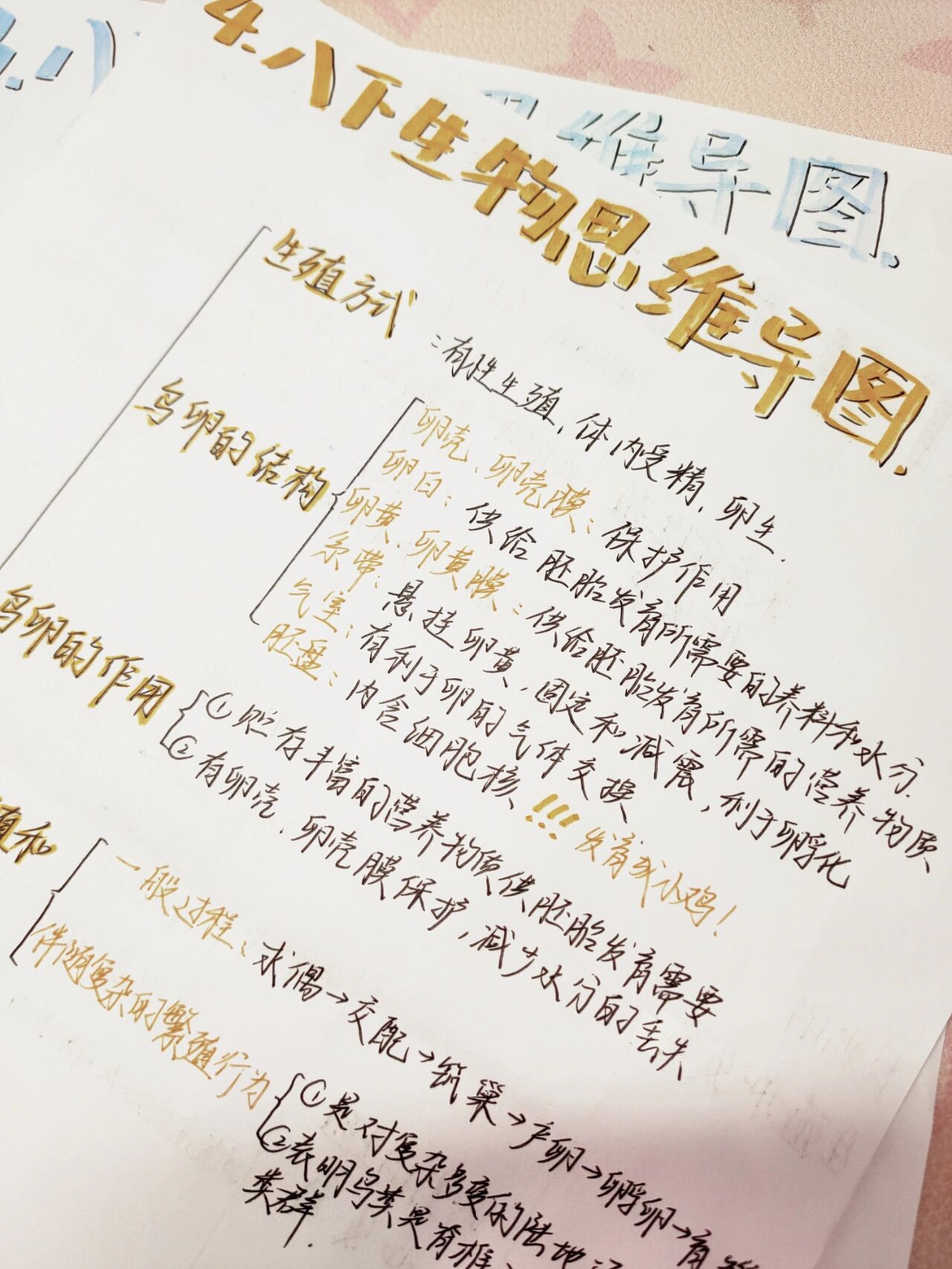 八下生物思维导图《鸟的生殖和发育》