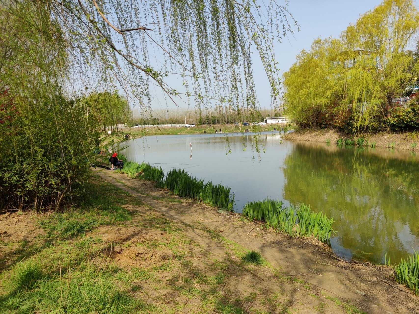 许昌秋湖湿地公园图片