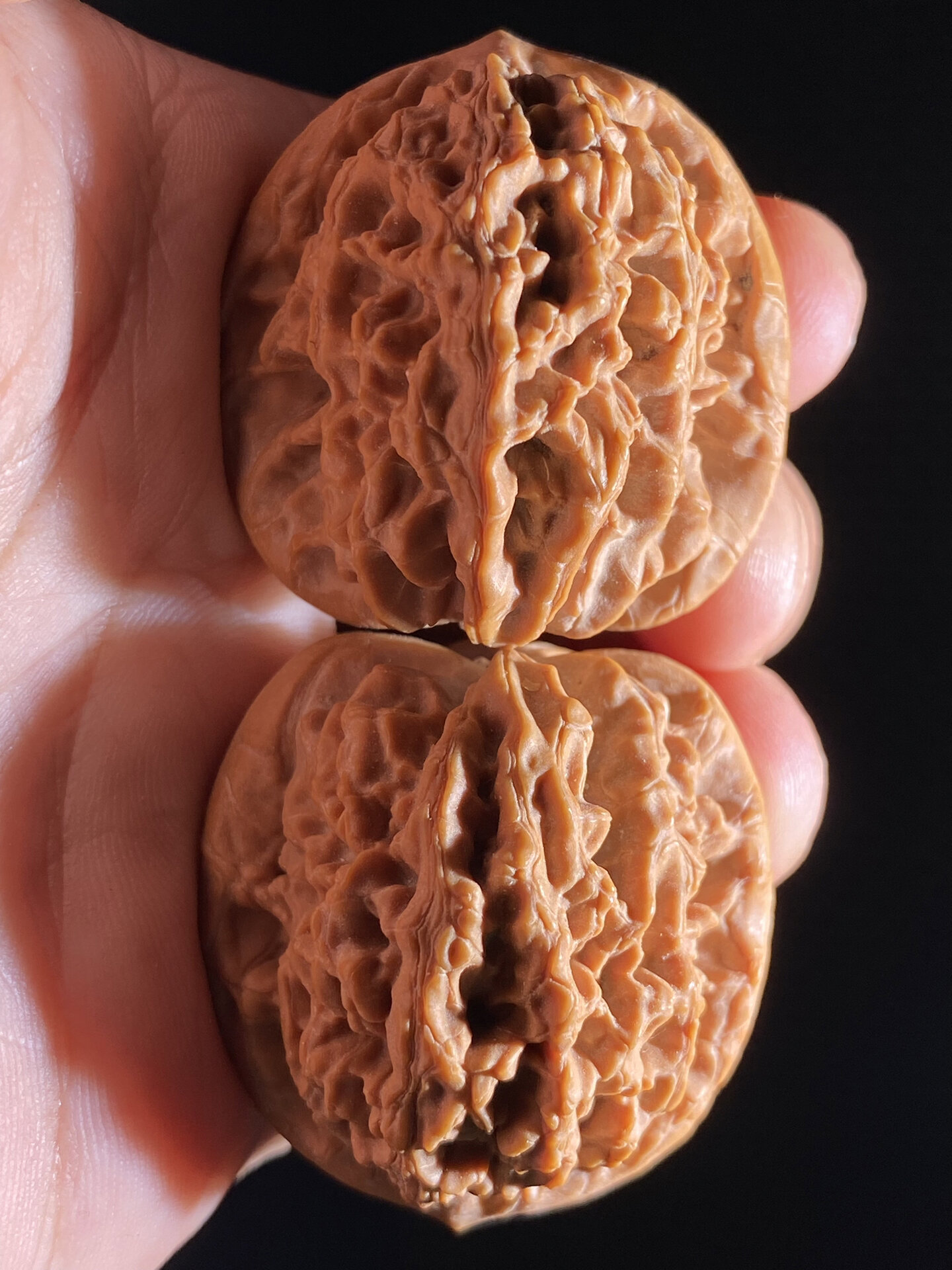 宝藏文玩核桃-蓟县马老四狮子头