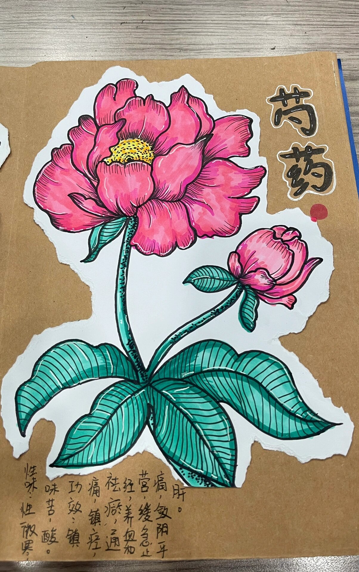 《芍药》中草药91本草纲目创意画@别样轻狂的动态