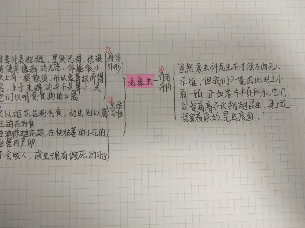 《昆虫记》思维导图 老象虫