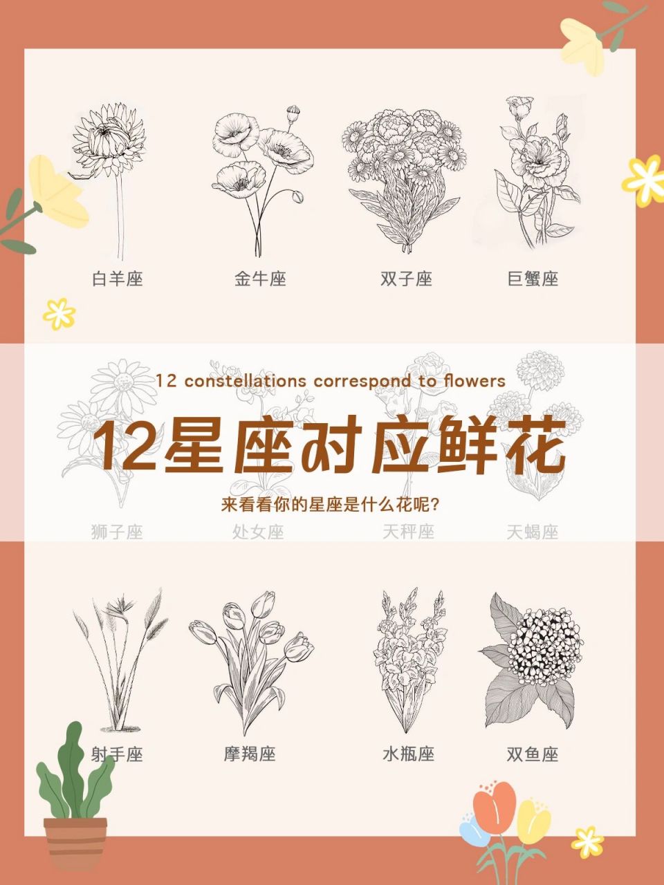 12星座本命花你知道吗?