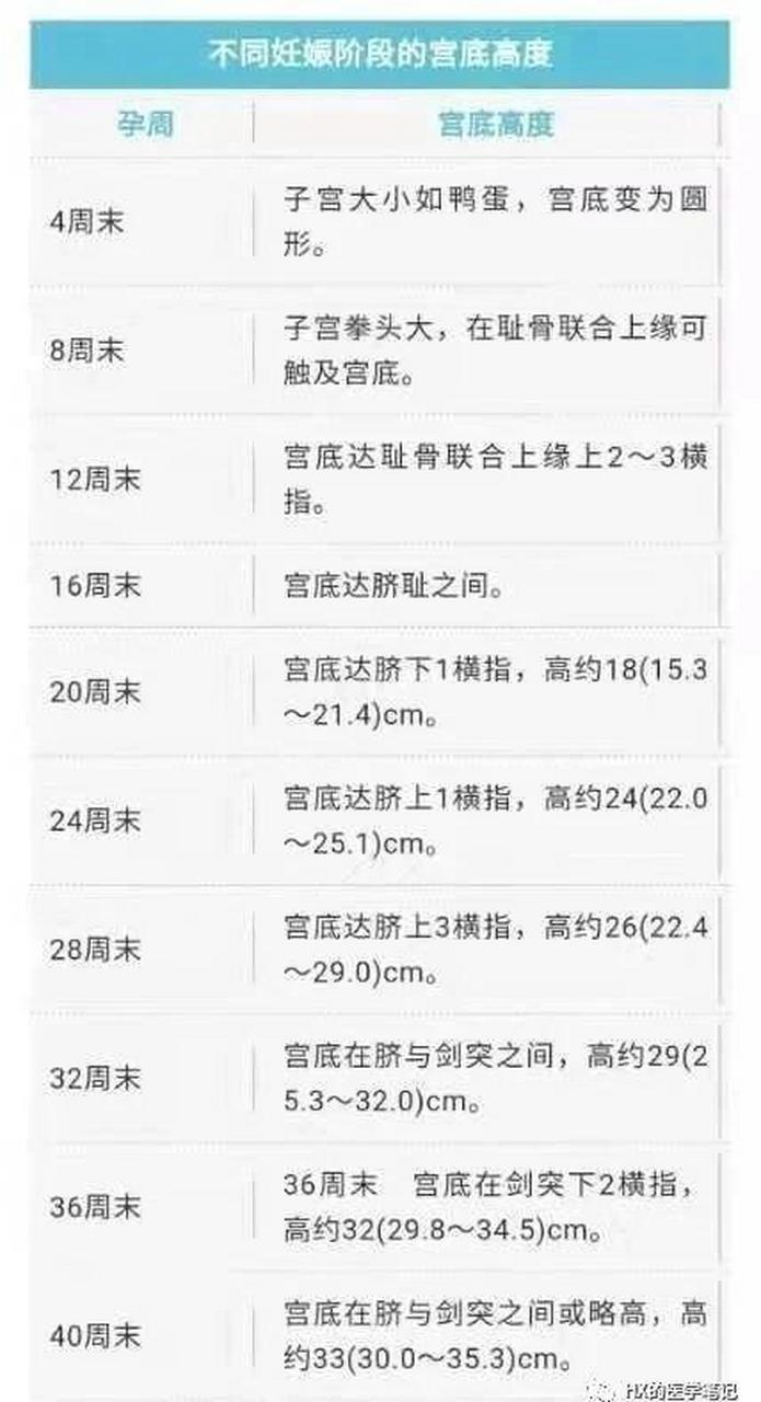 子宫大小与孕周