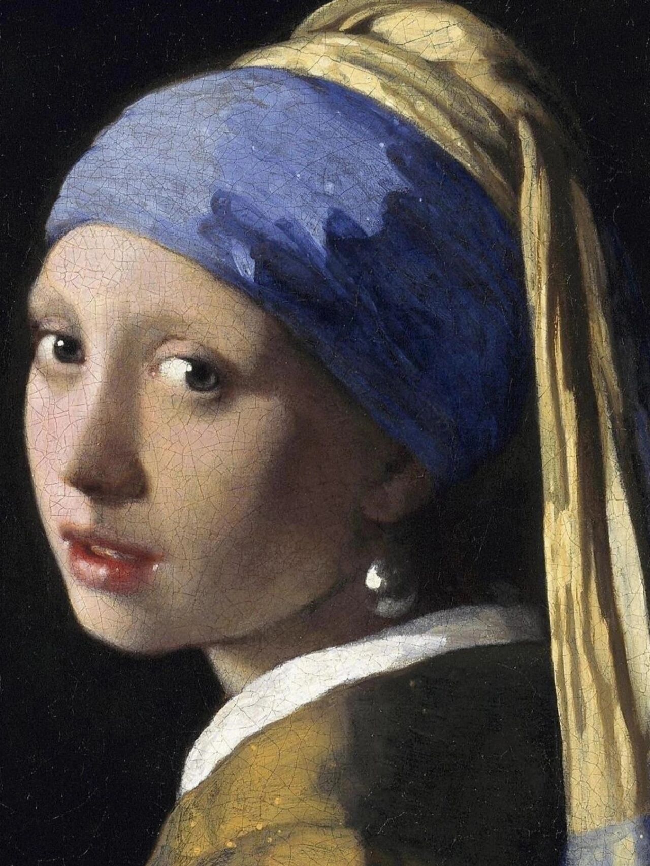 每日一画 | 名画鉴赏【戴珍珠耳环的少女