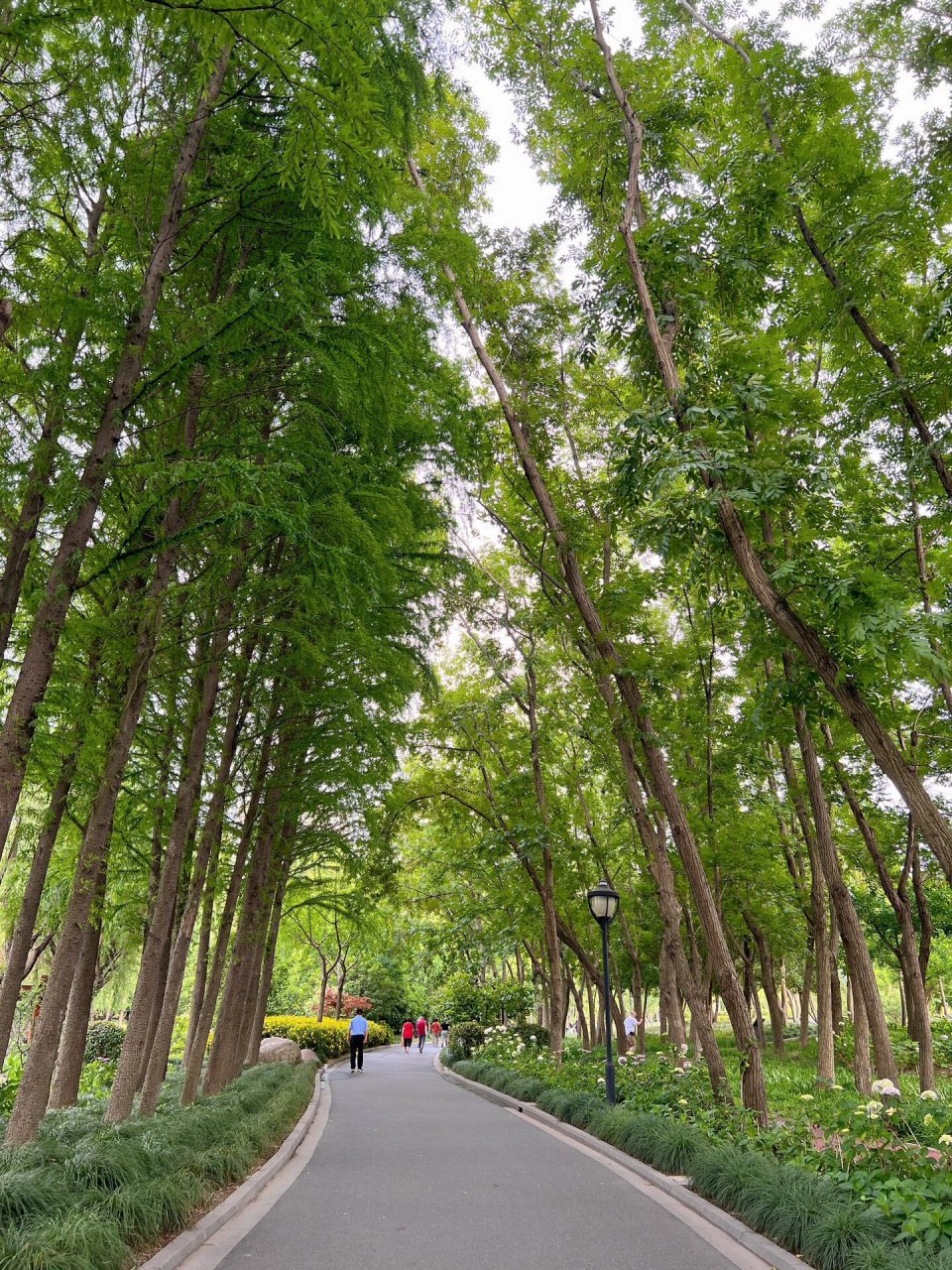 浦东新区金桥公园图片