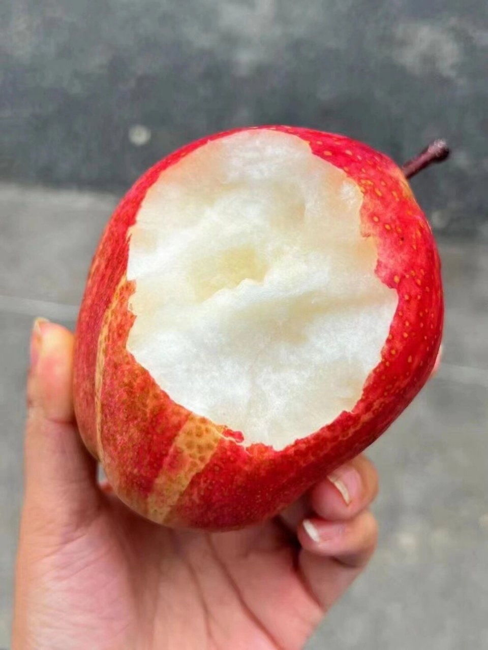 新疆雪山9015红梨 口感非常独特 肉嫩汁多香味浓 礼盒装约7斤川渝