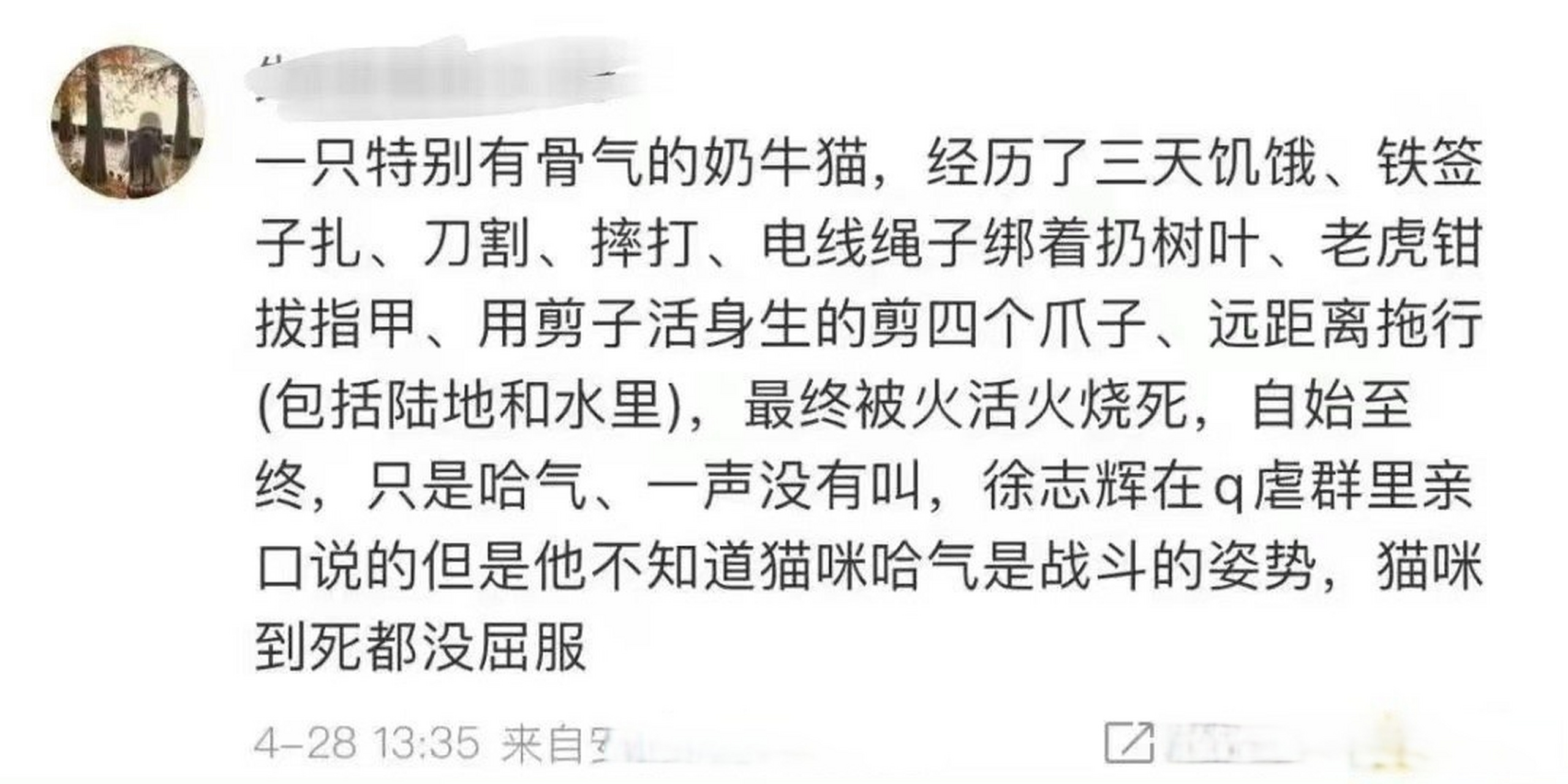 什麼時候才能遭報應?從未這麼希望一個人立刻遭受惡報!