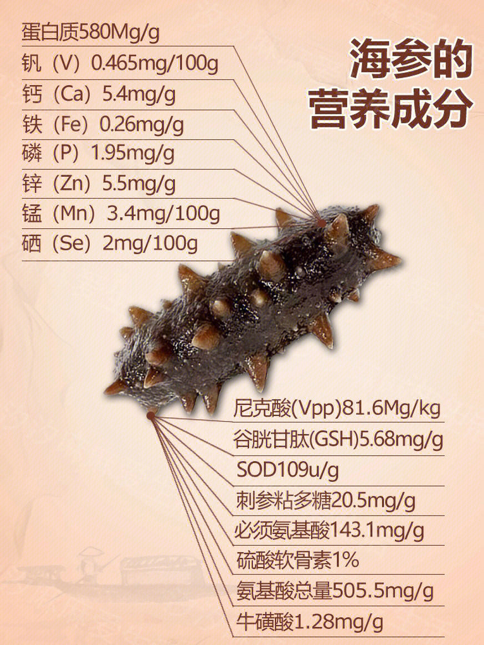 一张图告诉你海参所含的营养成分