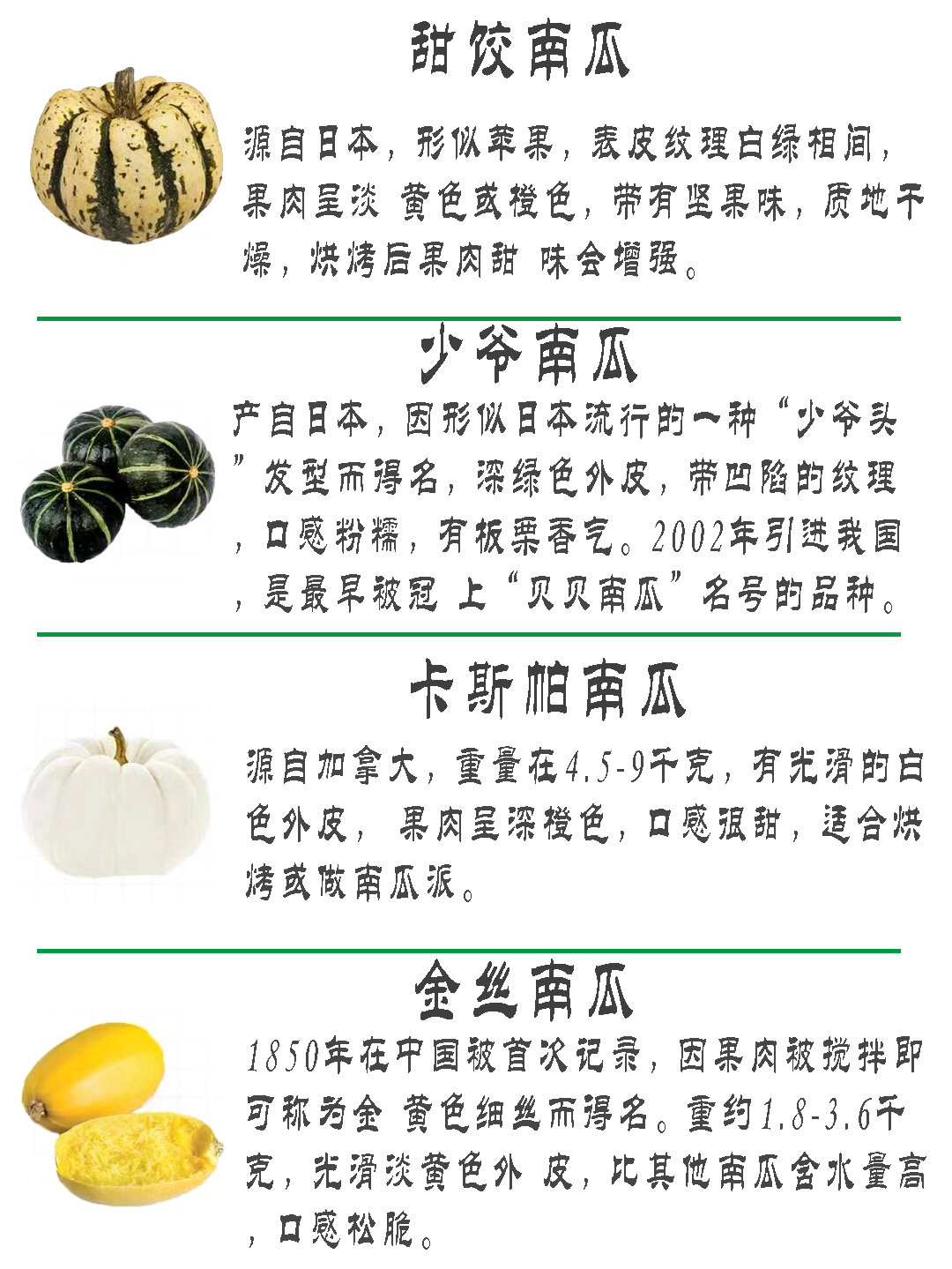 南瓜的基本结构特征图片