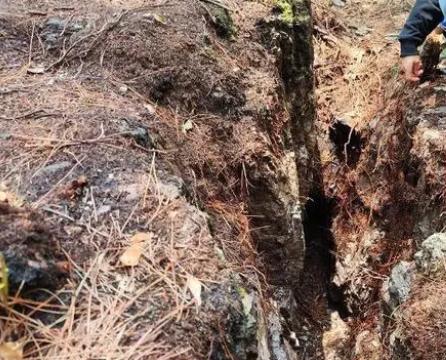 9岁男孩失踪13年后尸骨现身山林地缝