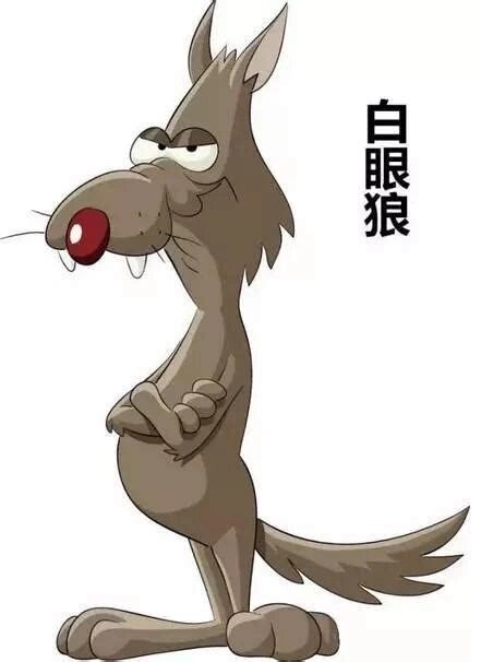 白眼狼