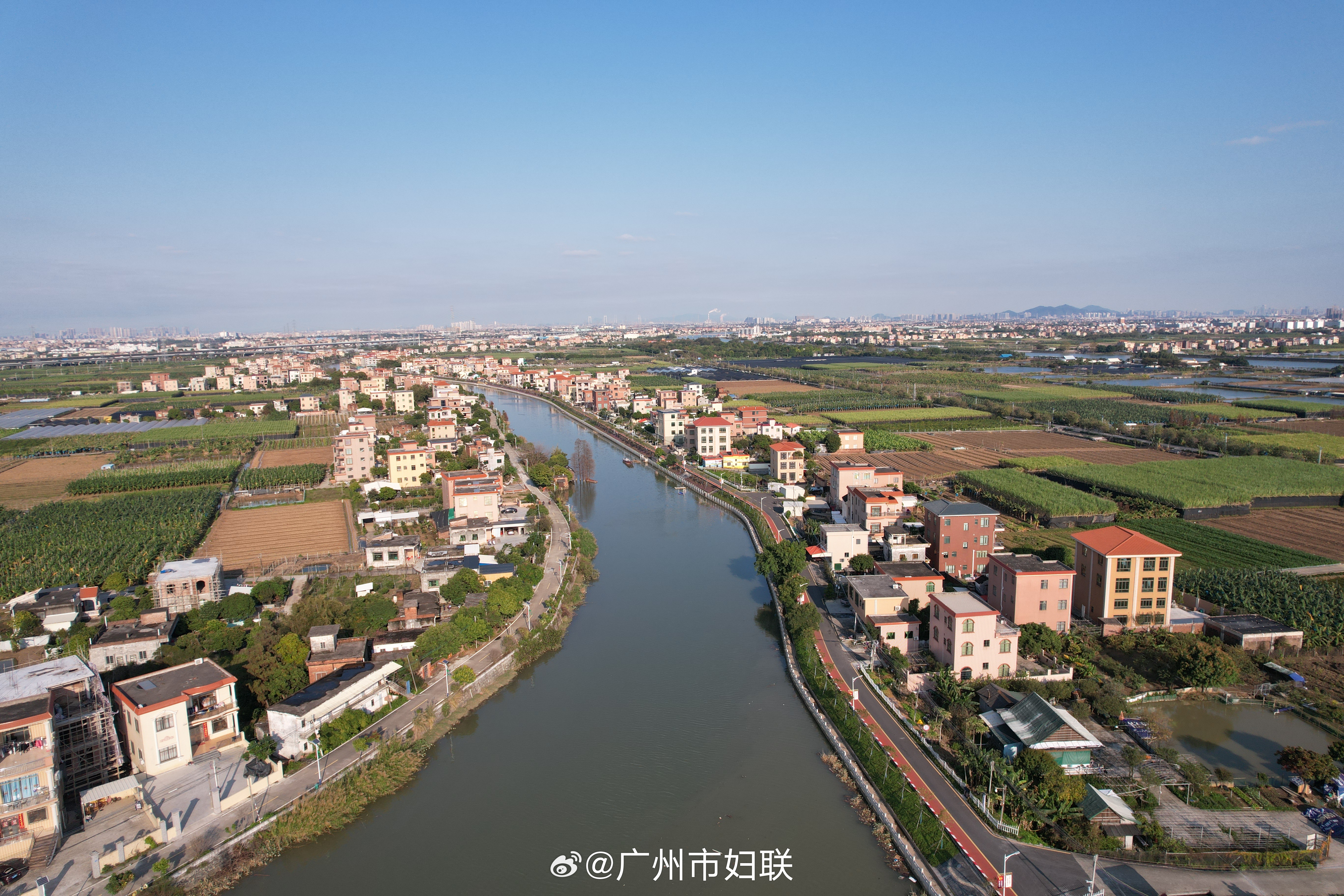 【美丽庭院 | 风景这边独好】#晒晒自家的小院子#