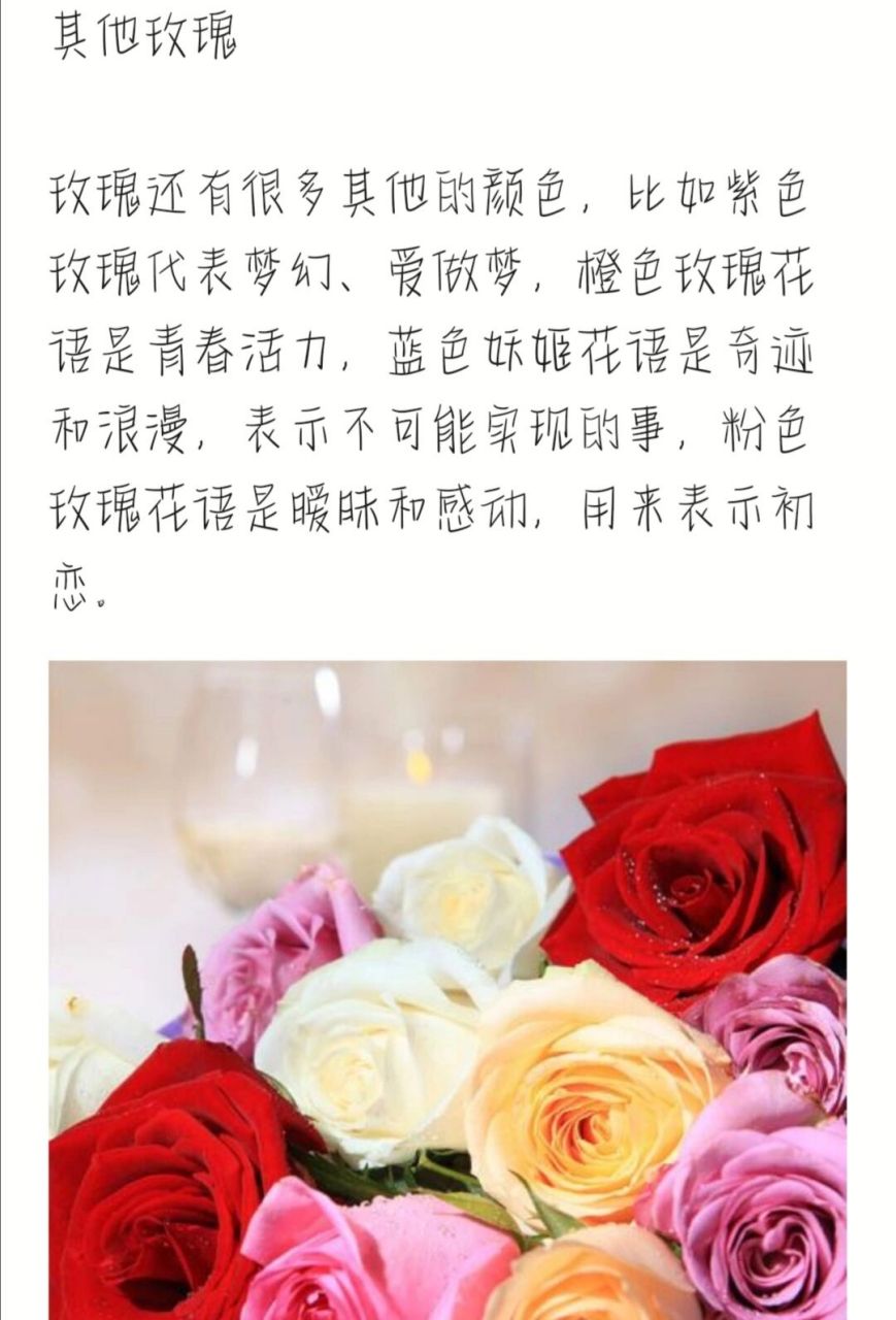 玫瑰花的花语啊~ 红色玫瑰 红色玫瑰是玫瑰中比较常见的颜色,它的花语