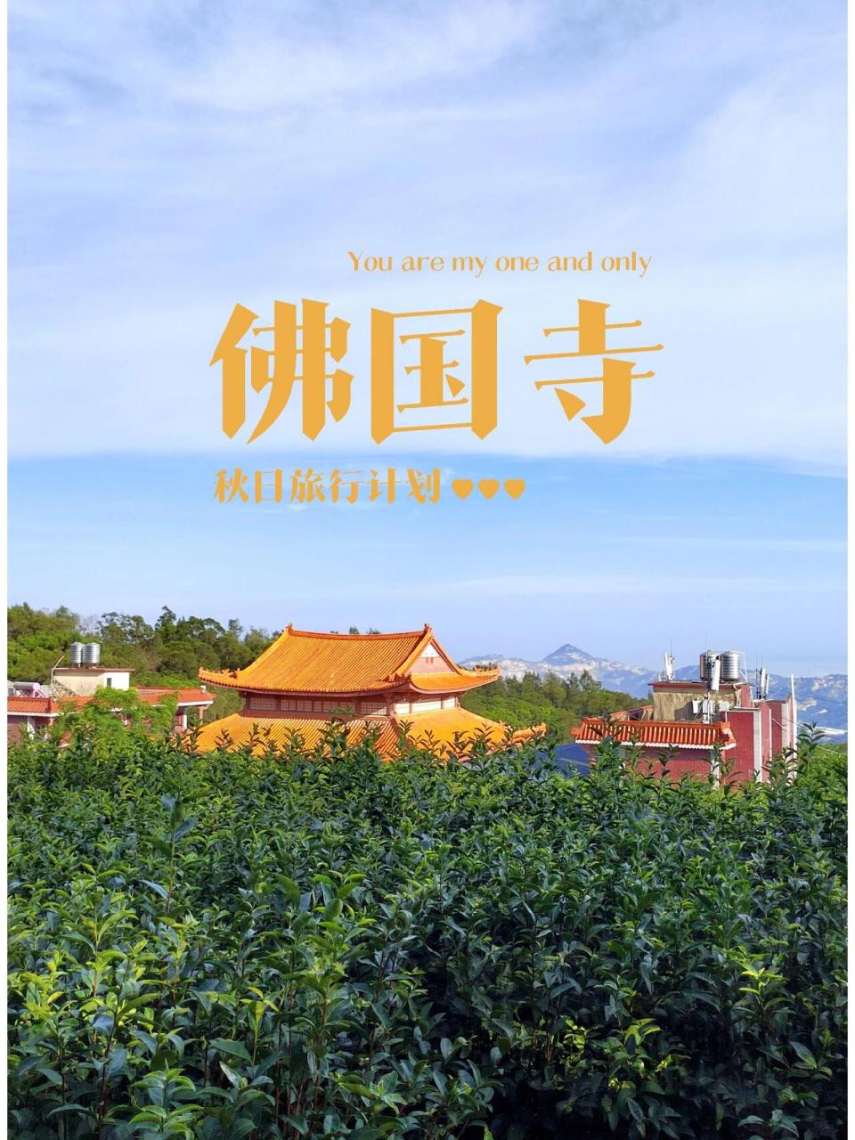 厦门文物5 | 妙高山佛国寺 佛国寺在同安区妙高山上.