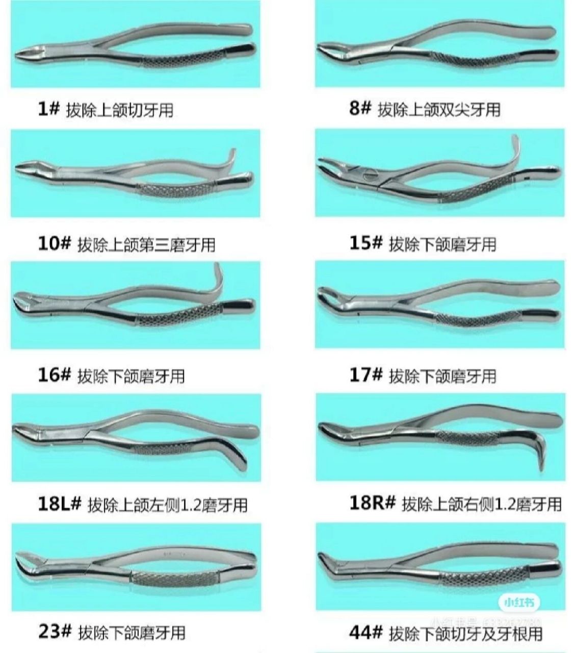 牙科牙钳的分类图图片