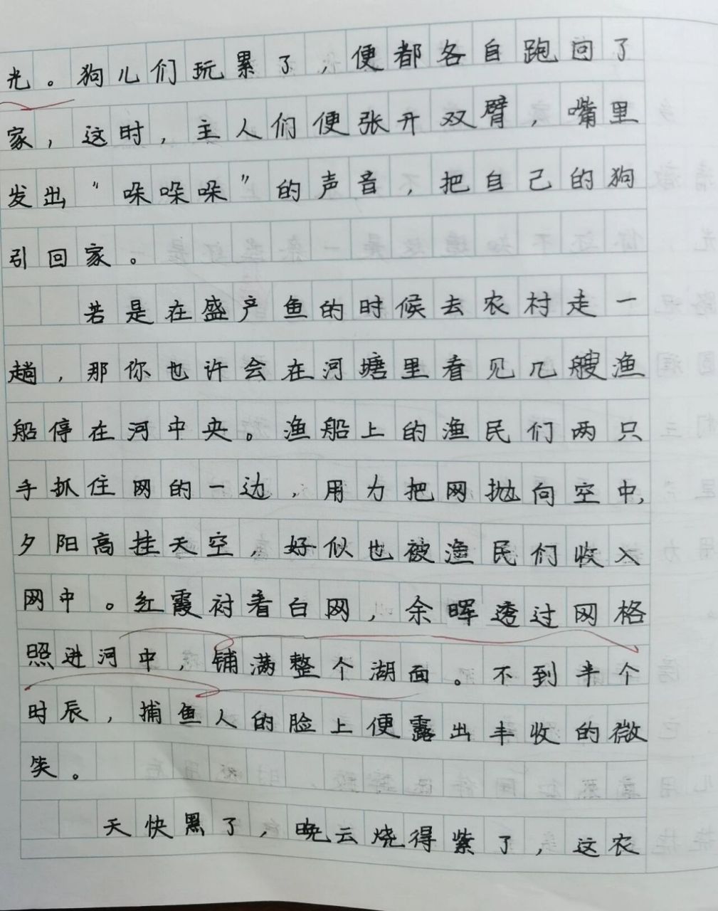 四年级《乡下人家》小练笔 《乡村景致》by大潼