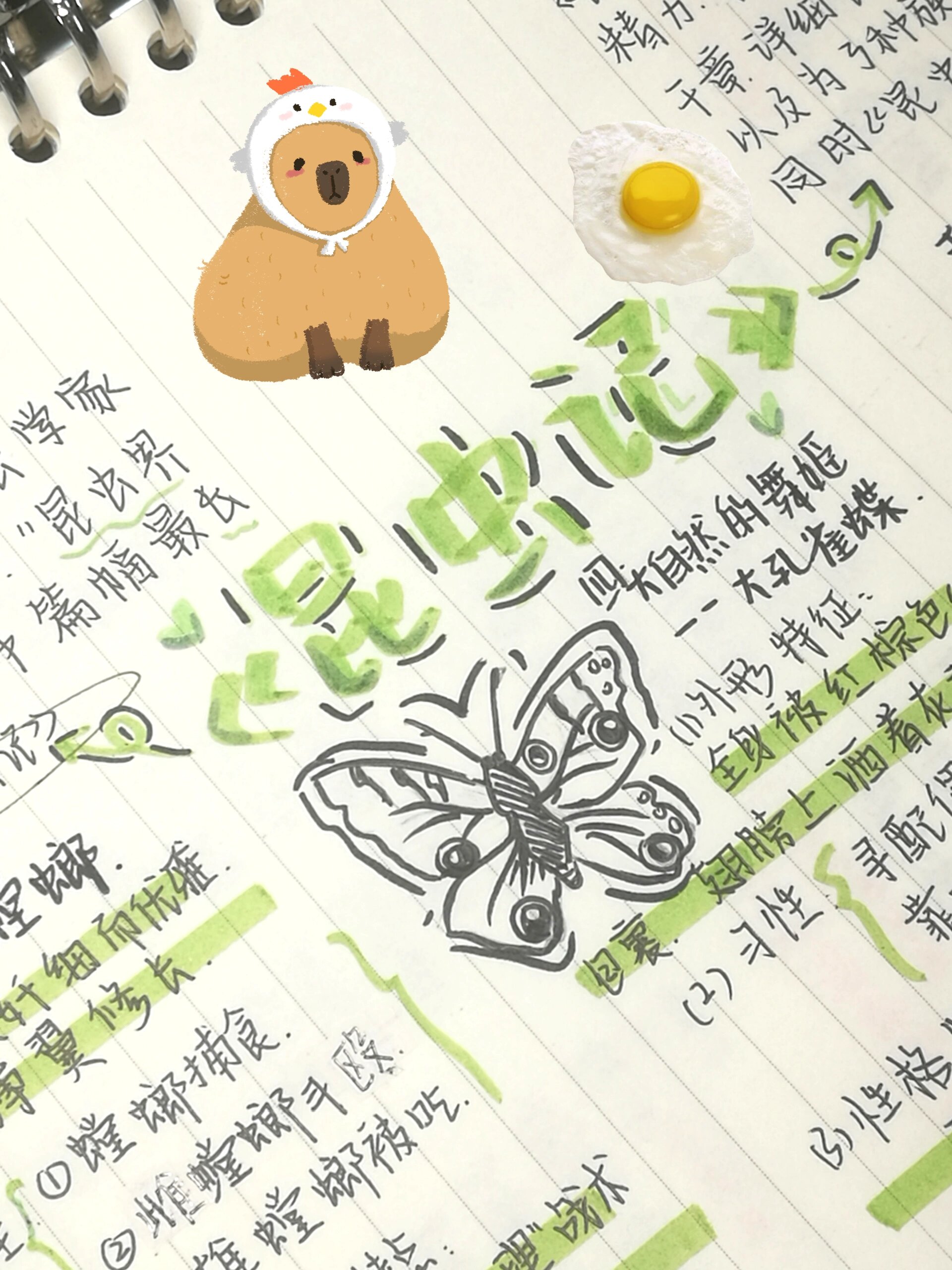 名著阅读Ⅰ《昆虫记》思维导图