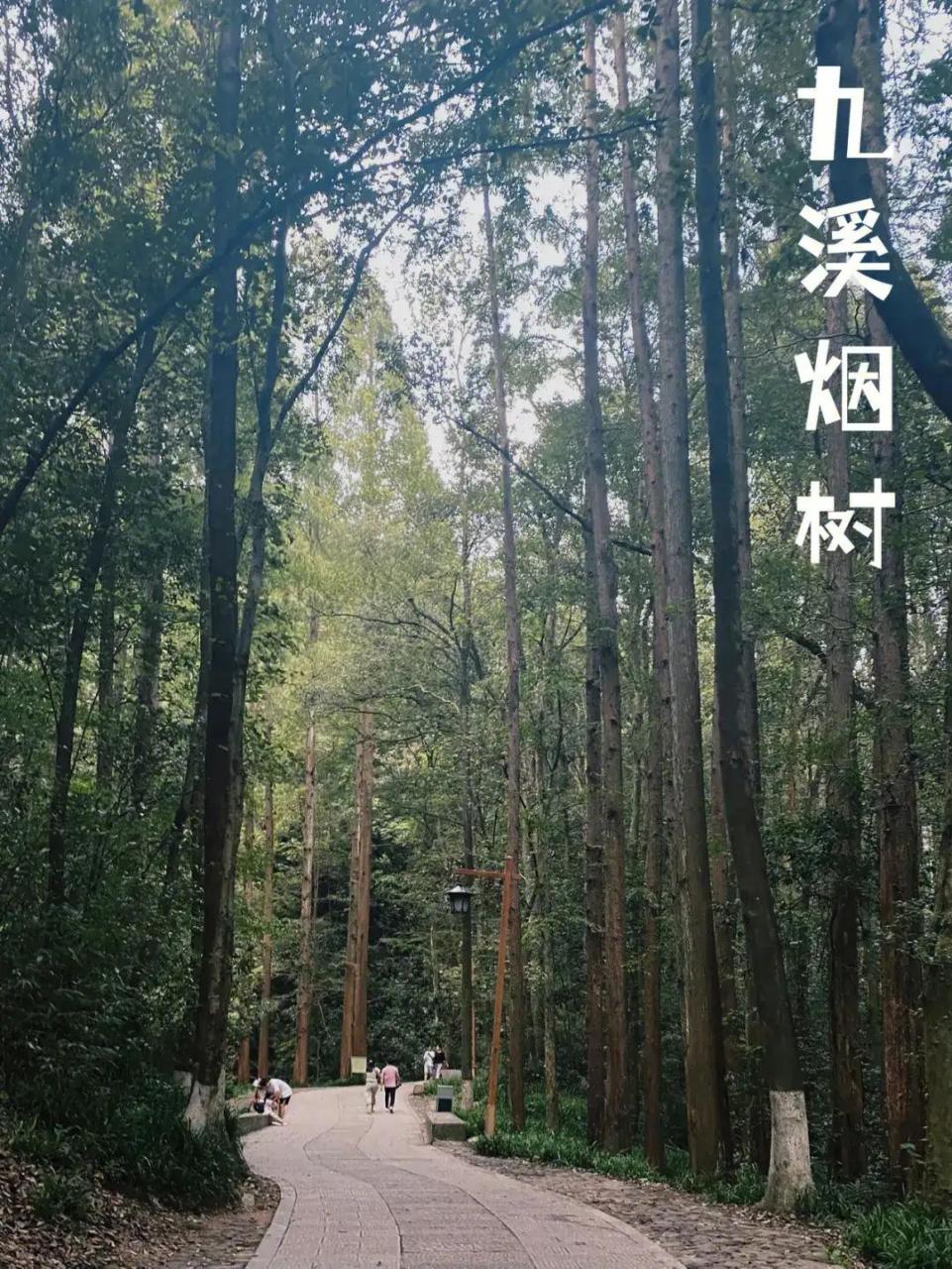 九溪烟树是杭州的一处美景,位于西湖区,距离杭州市区约16公里.