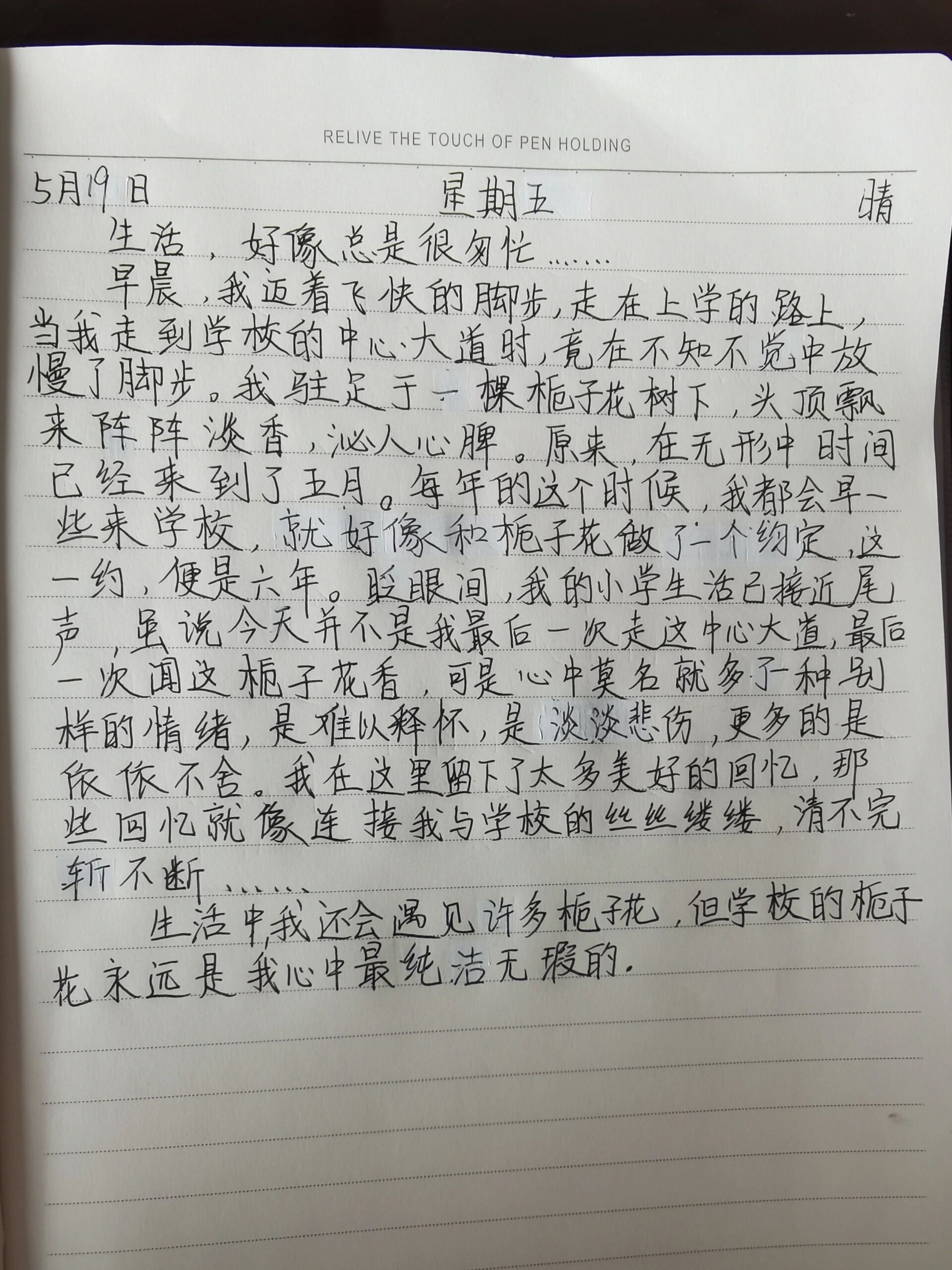 植物的作文100字 日记图片