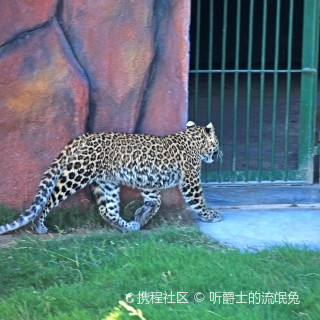 盐城大丰港动物园位于大丰港经济开发区青岛港路东侧