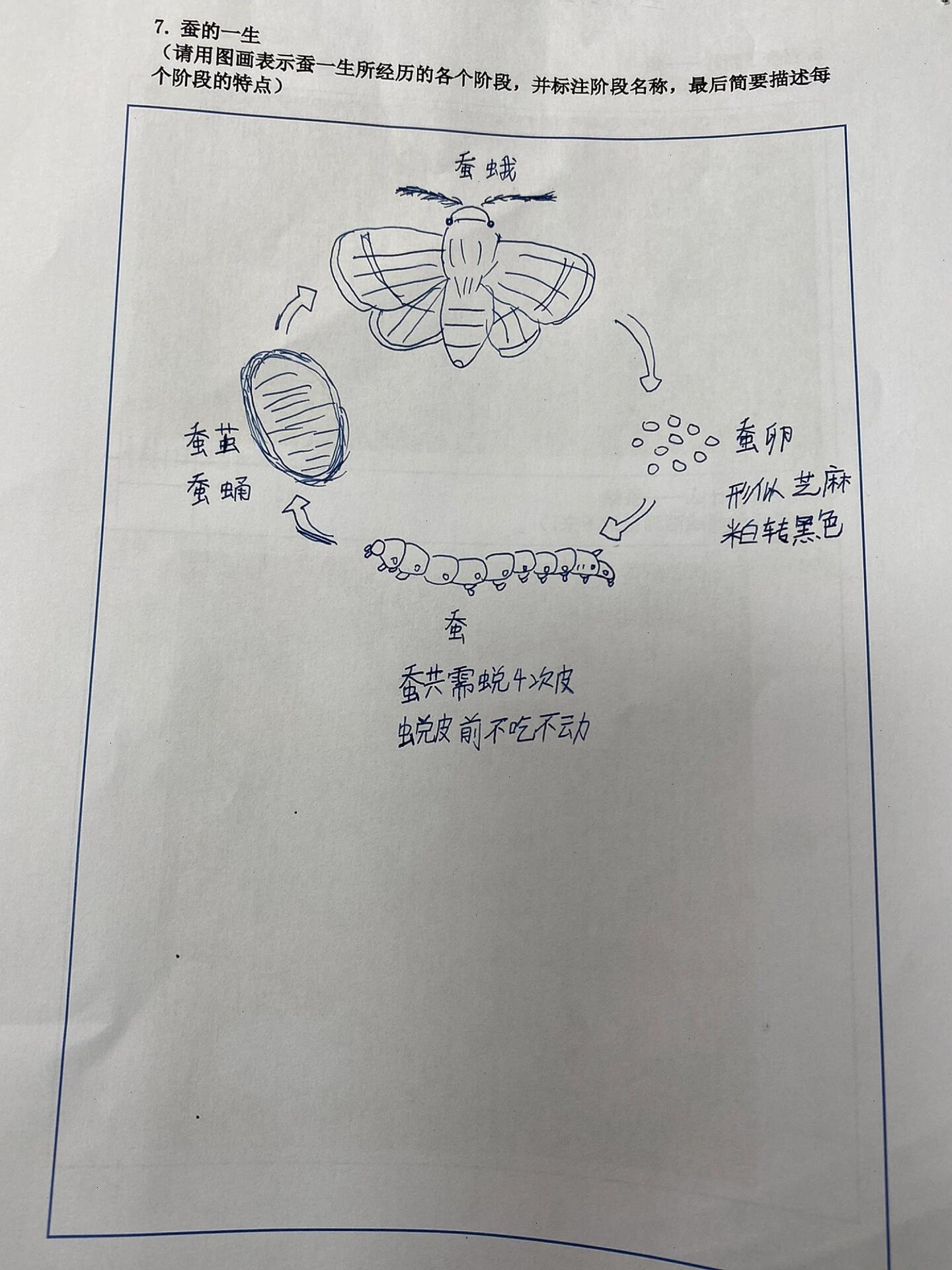 蚕卵孵化记录表图片