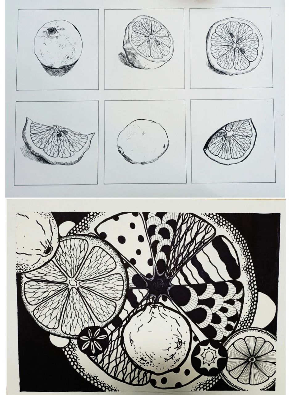 设计素描~水果观察概括和再设计 超级简单的设计素描