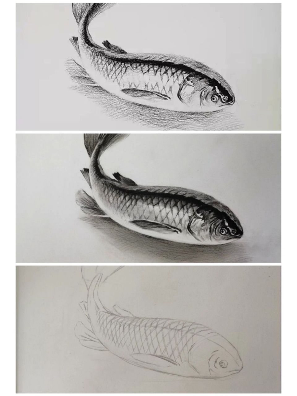 年年有鱼素描黑白图片