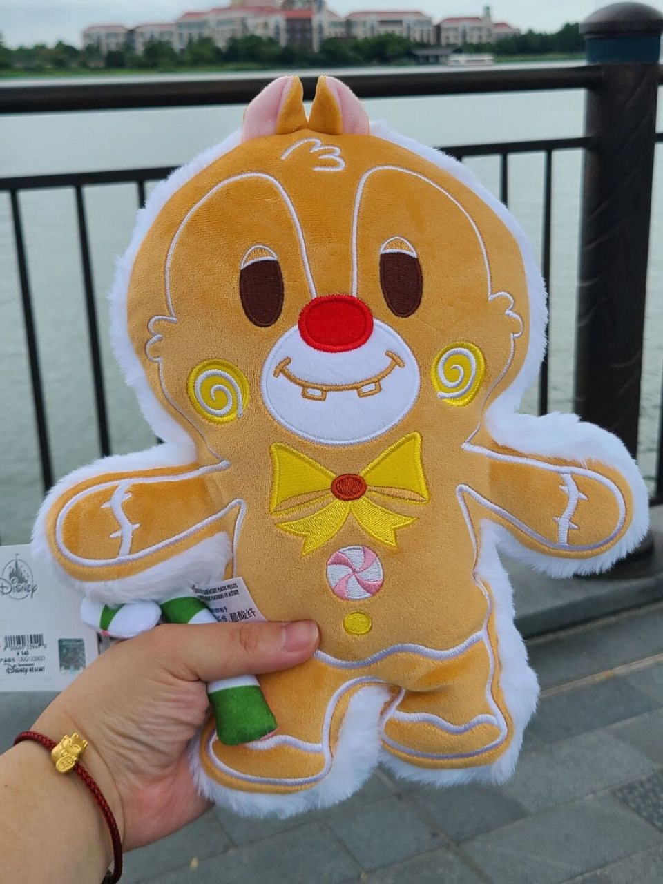 7977dd姜饼人抱枕 #奇奇蒂蒂# #姜饼人# #上海迪士尼