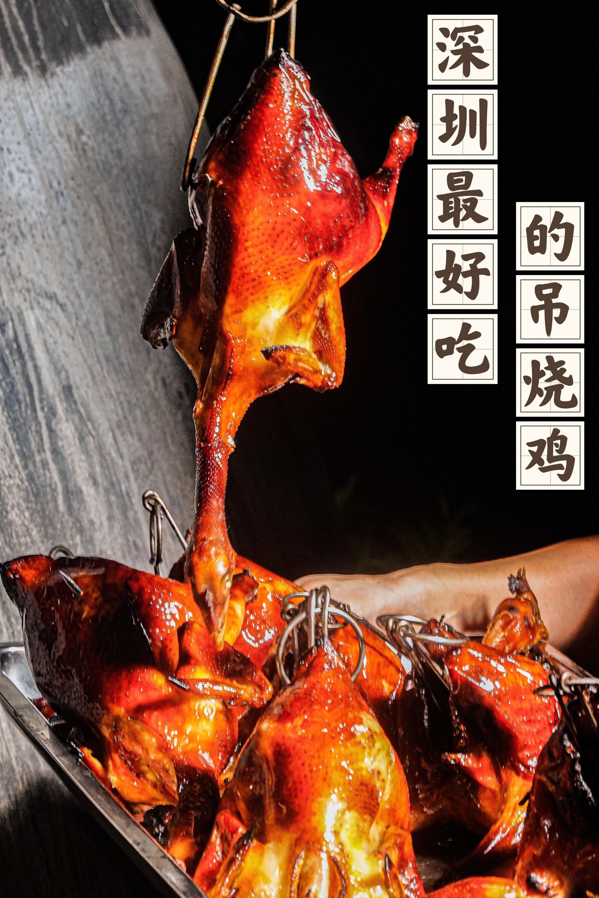 深圳坠好吃的吊烧鸡6015我一人干掉了一整只