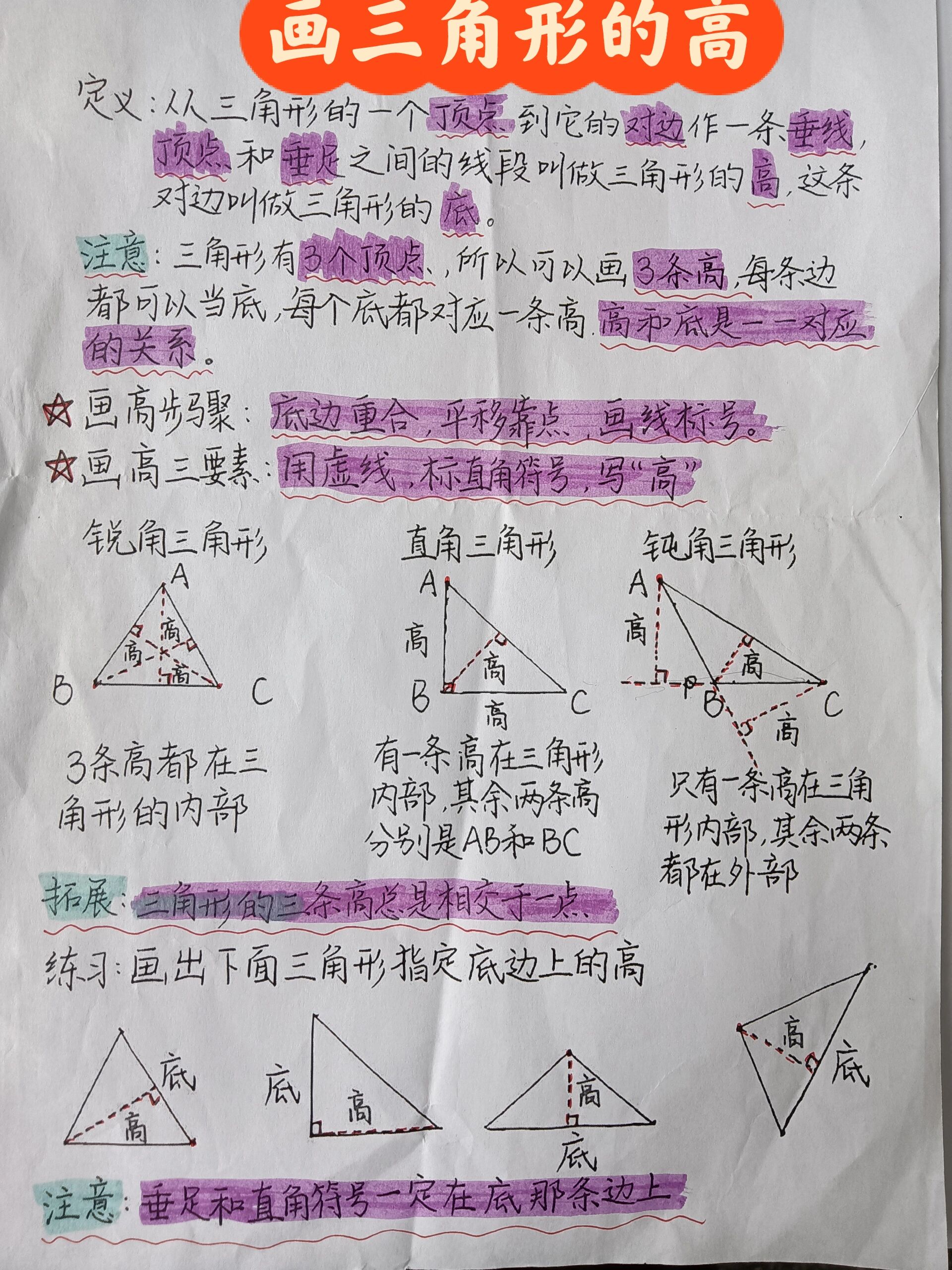 如何画三角形的高 三角形的高专项训练
