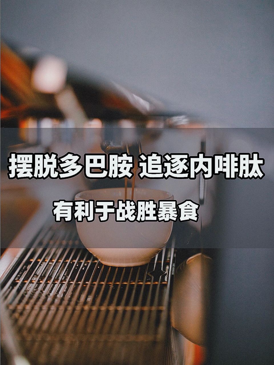 摆脱多巴胺 追逐内啡肽,有利于战胜暴食 罗振宇曾经指出:"一个有出息