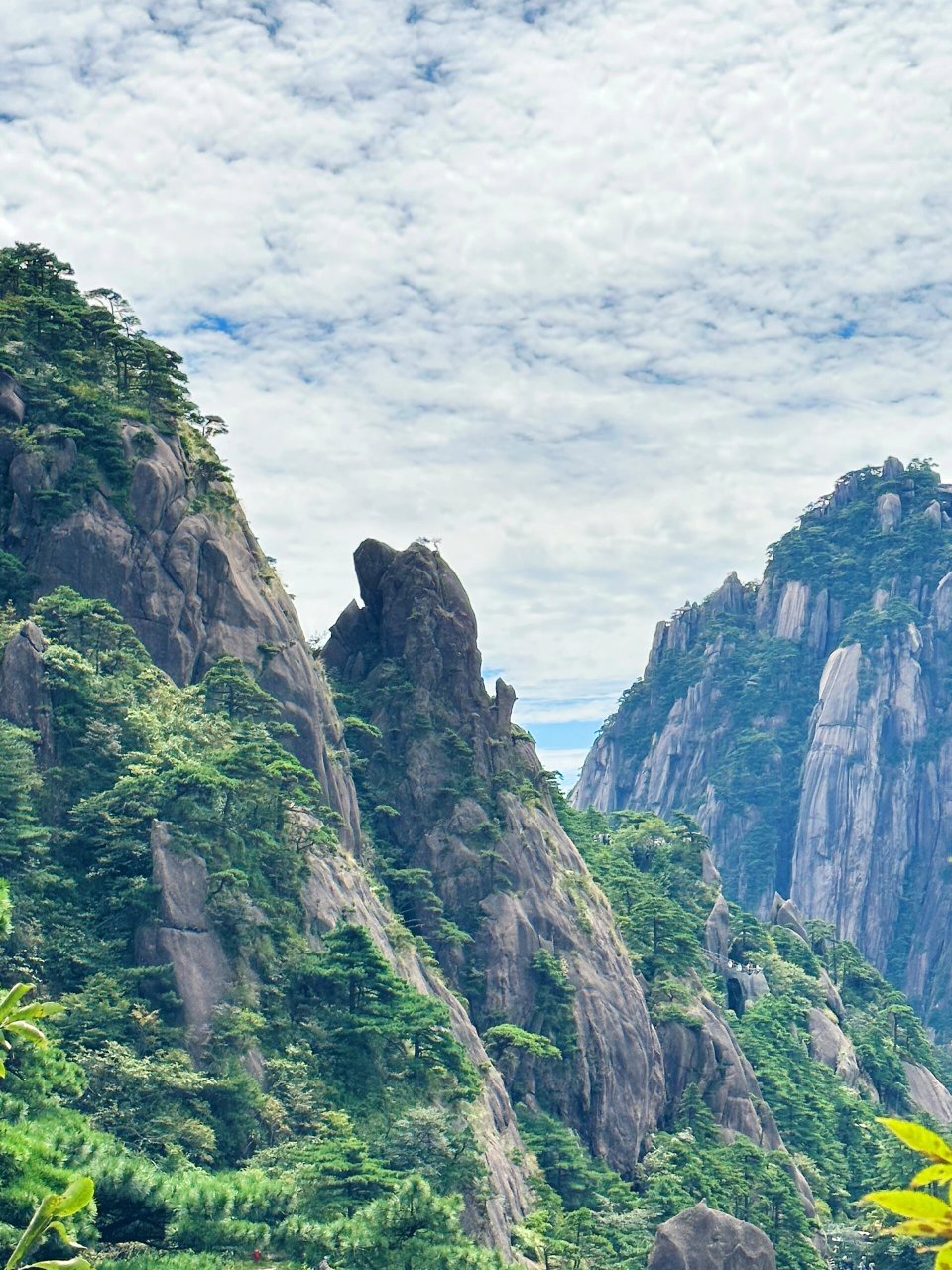 跟着书本去旅行之《黄山奇石》 仙桃石 仙人指路 天狗望月 	 二师兄