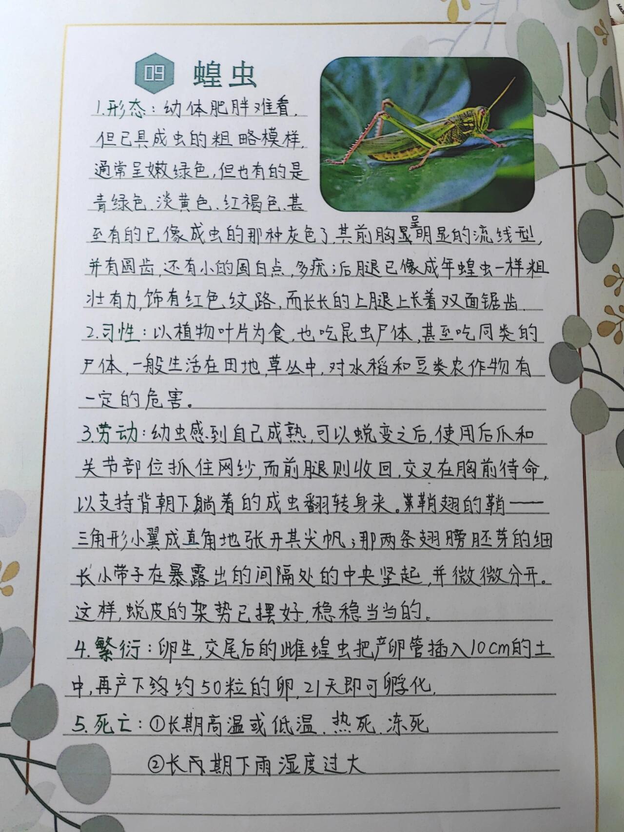 ④《昆虫记》蜘蛛 蝗虫简介