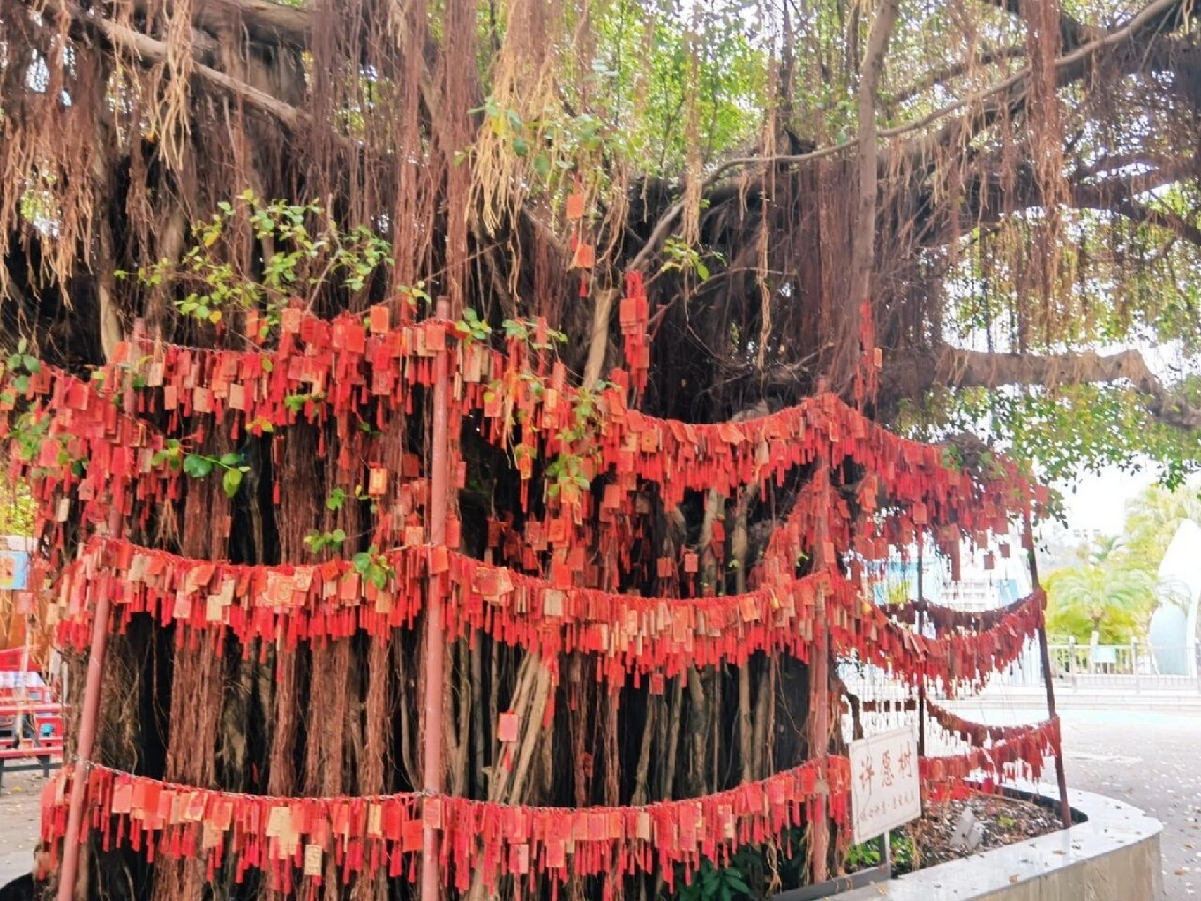 江门新会财神山门票图片