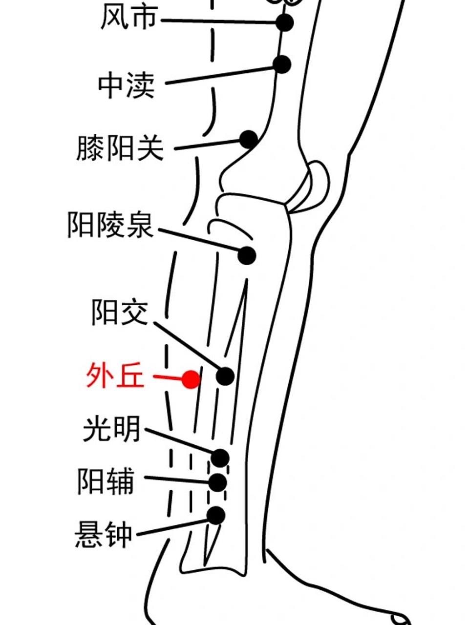 每日一穴～外丘穴:传递风气 外丘穴,经穴名.出《针灸甲乙经.