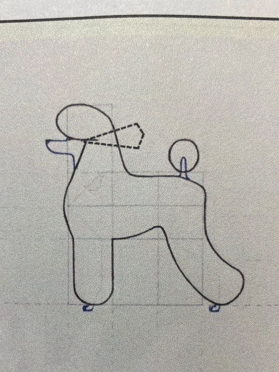 零基础学宠物美容|最值得美容师收藏的图17 贵宾拉姆装基本上是所有