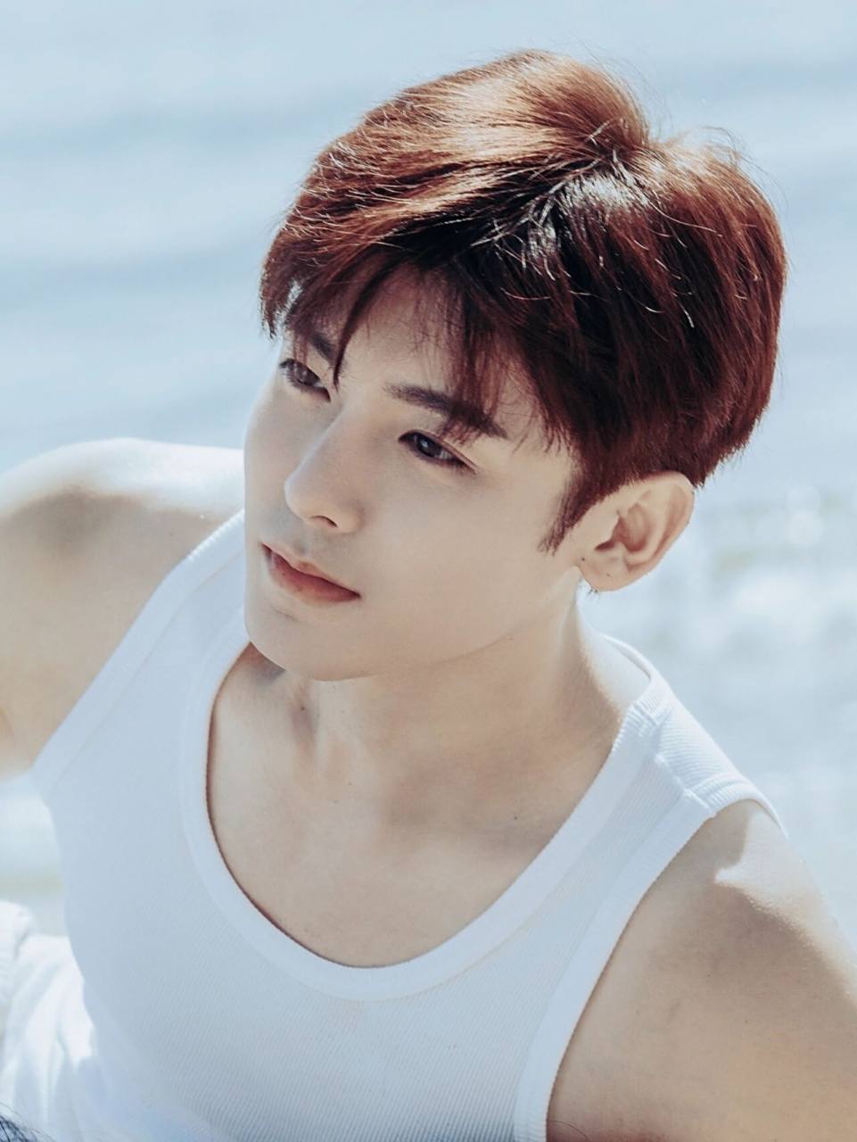 侯明昊海边壁纸|童颜巨肌小王子95 看《人不彪悍枉少年》和《怒海潜