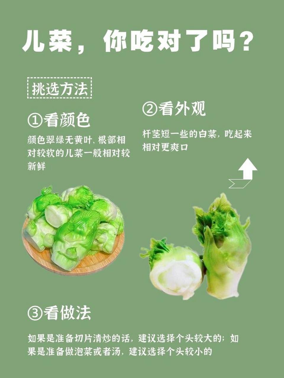 儿菜俗名图片