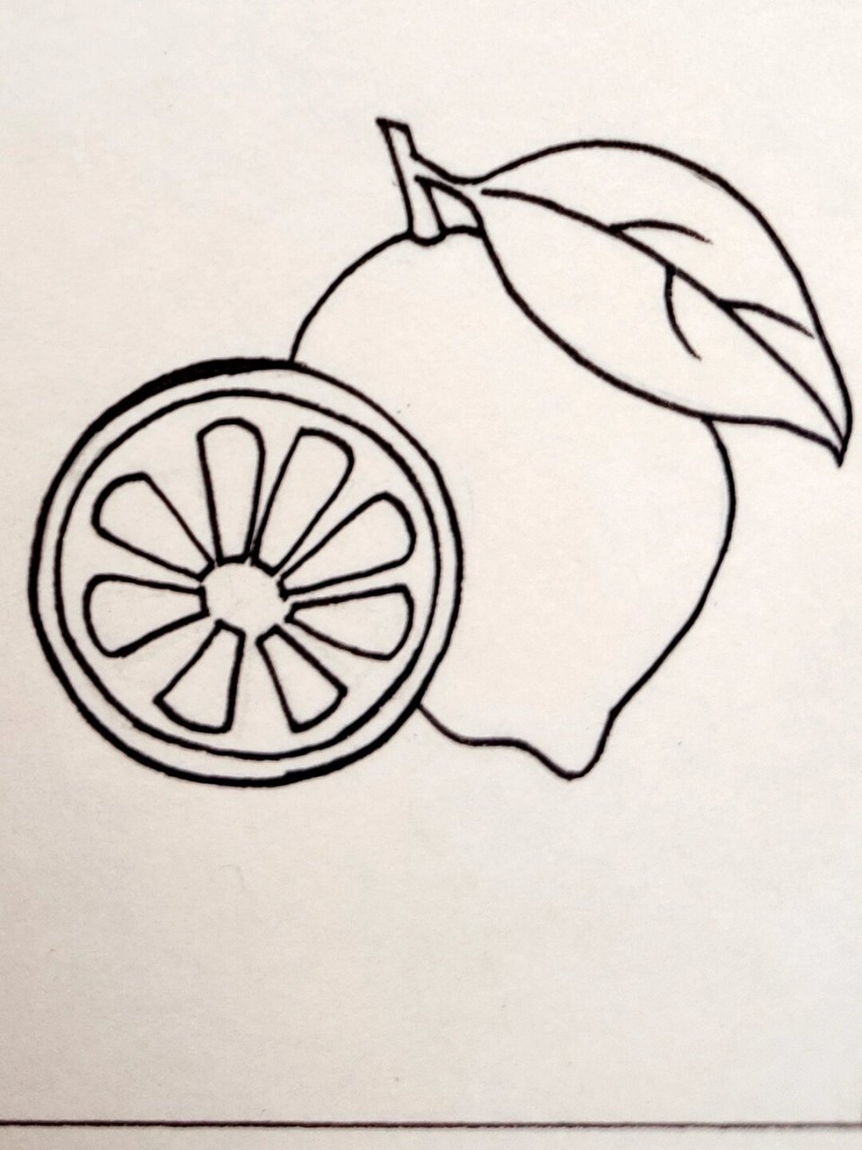 零基础简笔画  day5  柠檬93 今天画一组简笔画~柠檬93
