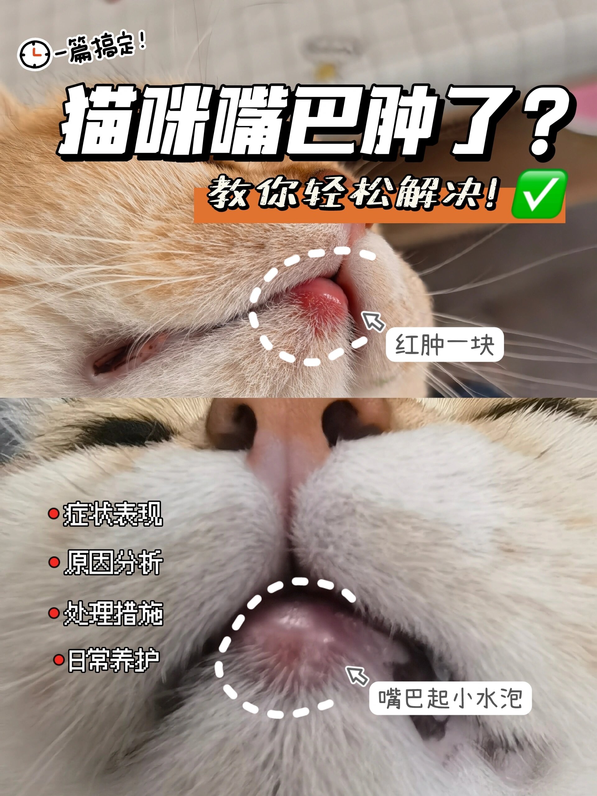 猫嗜酸性肉芽肿怎么治图片