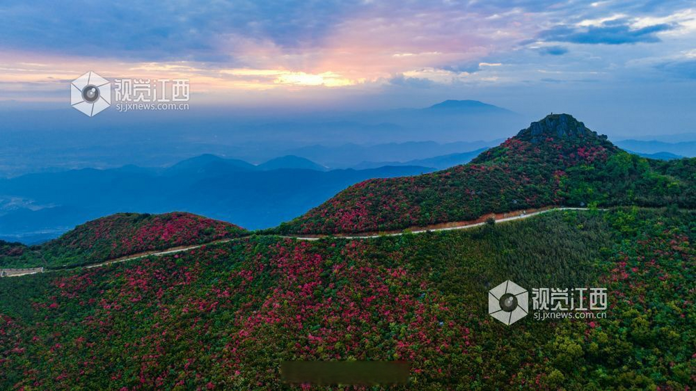总要来趟江西吧#【江西丰城:升华山杜鹃花开】4月21日, 在江西省丰城