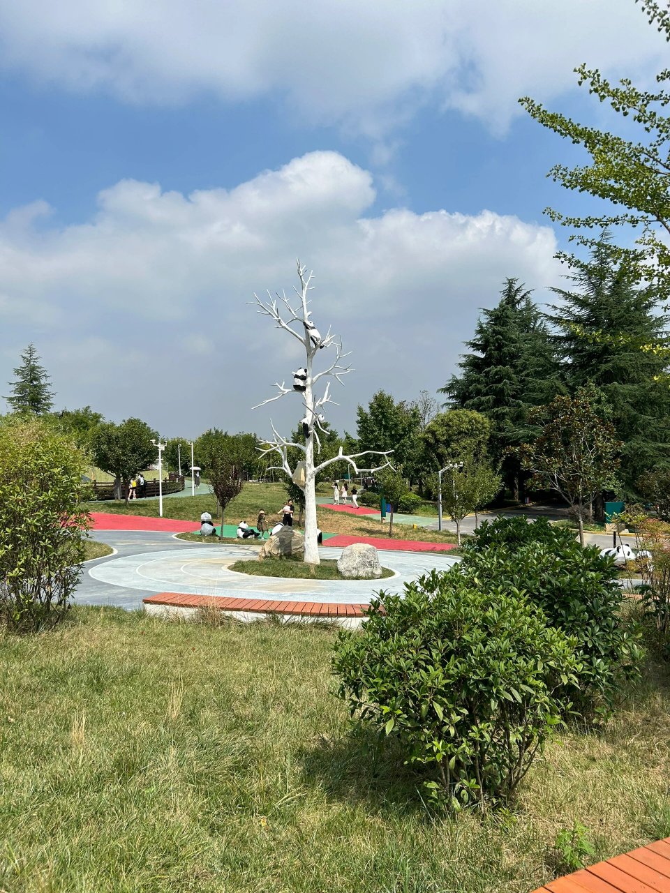 秦岭四宝 秦岭国家植物园攻略 作为陕西人的福利,看熊猫94不用再去