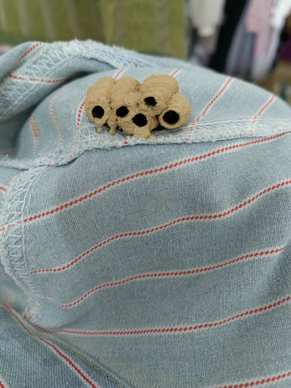 是个虫卵吗?在线急等,谢谢大家!