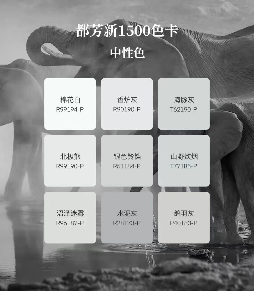 德国都芳漆网红中性色灰色系推荐 我把色卡拍了放大了,供各位参考