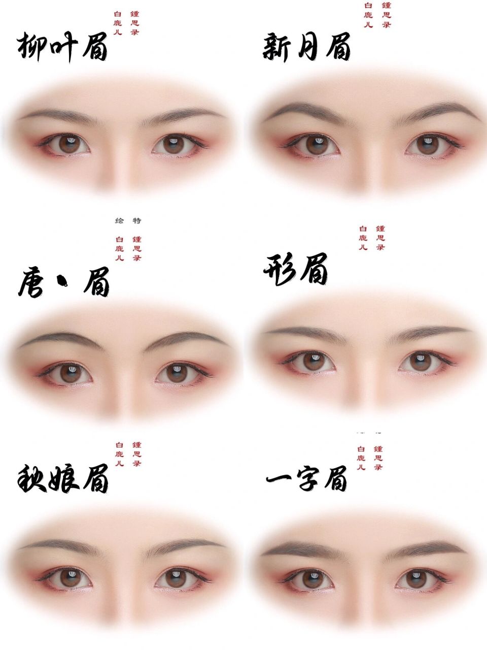 柳叶眉 0269♀15 芙蓉如面柳如眉,状如柳叶.