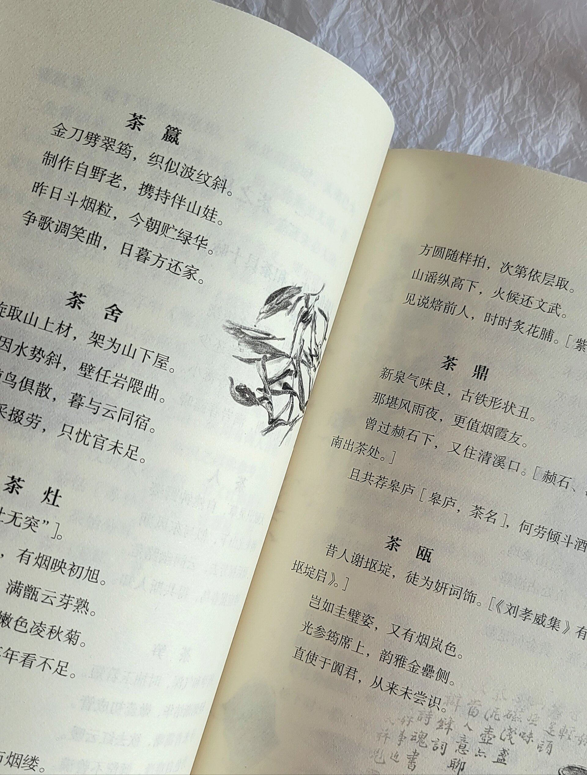 《茶经》95| 领略中国典籍里的茶文化 98书名:《茶经》作者:陆羽.