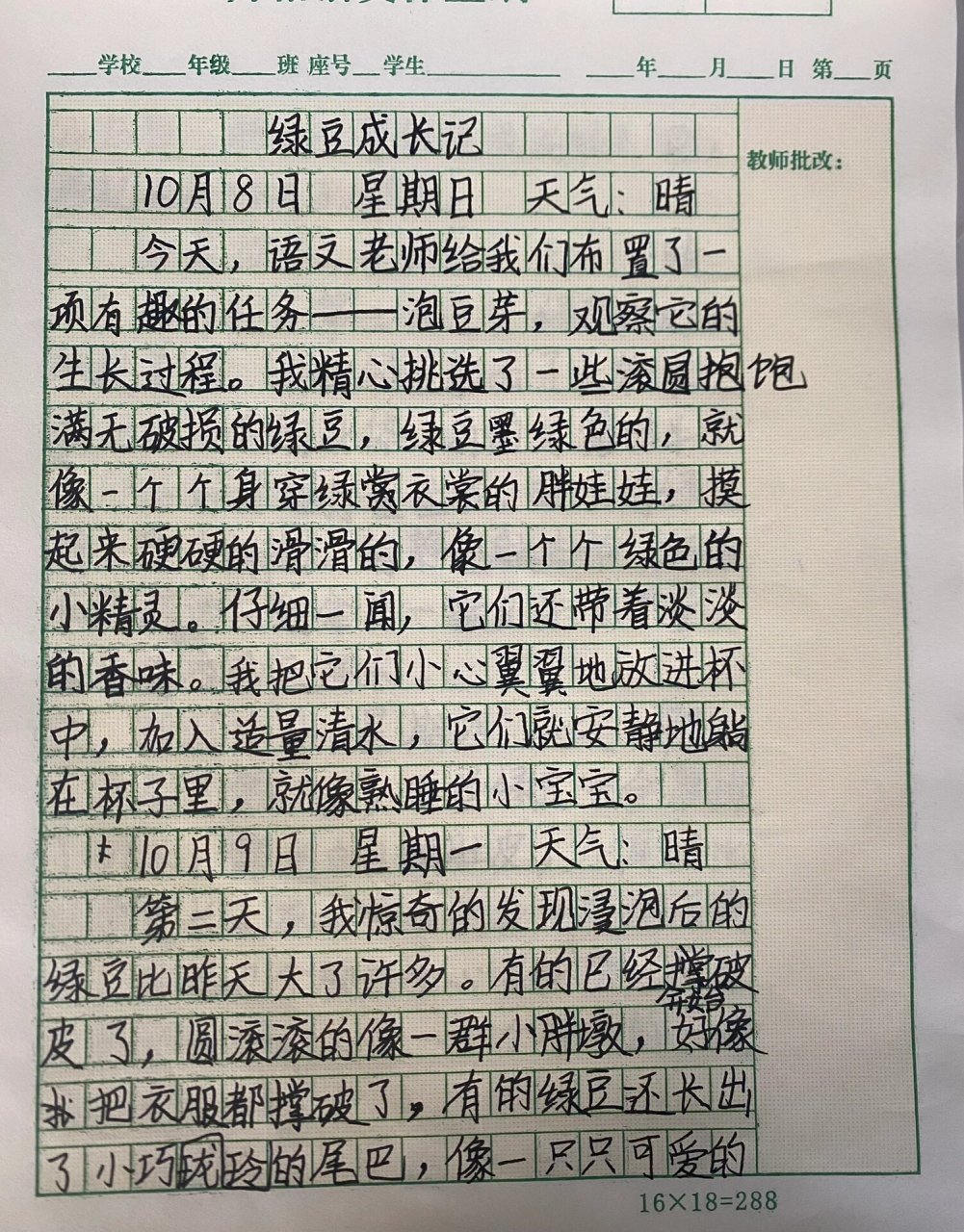 写绿豆的观察日记第一天第二天(绿豆观察日记第一天怎么写400字一篇)