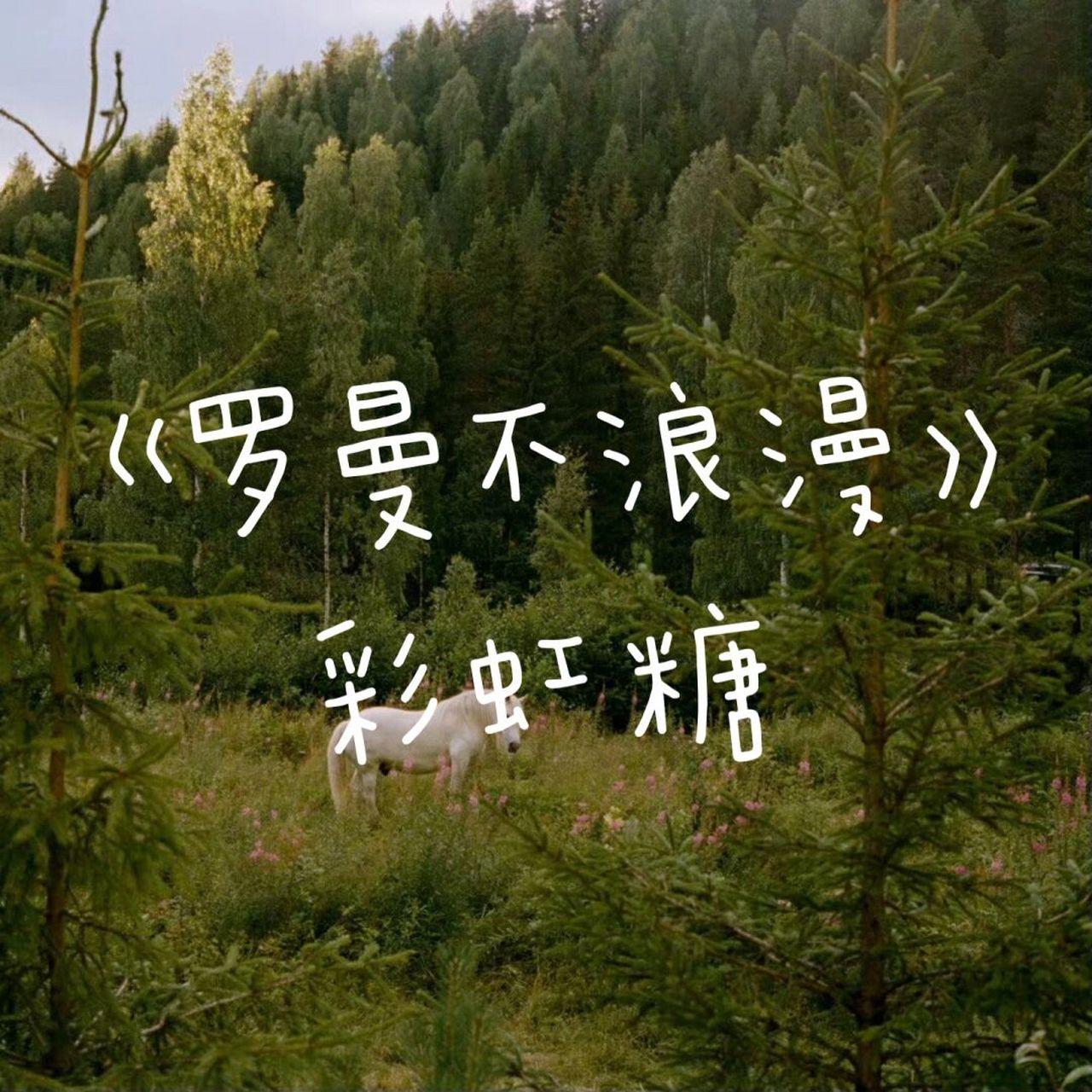 婚后文|彩虹糖《罗曼不浪漫》 这个作者真的非常会写,无论主角配角